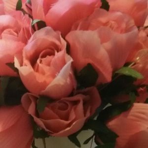 Meet your Posher, Rana